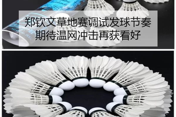 郑钦文草地赛调试发球节奏 期待温网冲击再获看好